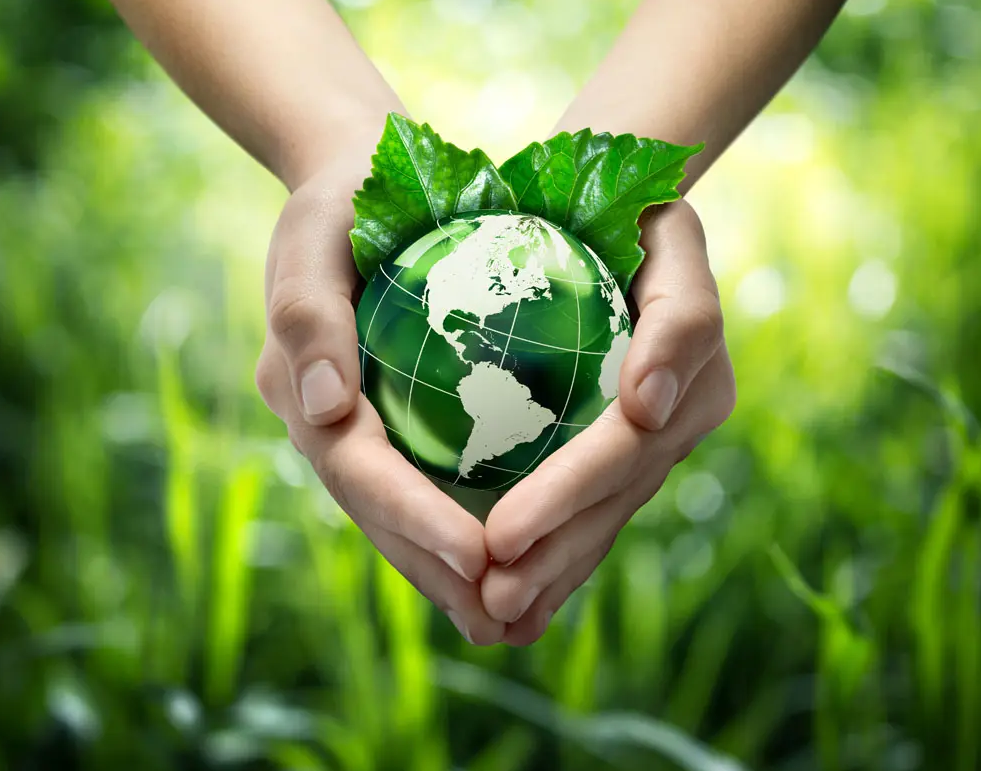 關(guān)于綠色印刷，這些你都知道嗎？